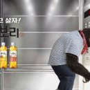 하늘보리 이미지