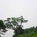 화북장암주유소 티스토리