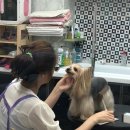 셀럽몽 이미지