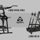 피트니스 에이치 이미지