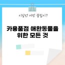 카용품점