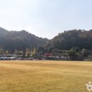 무릉고서화미술박물관 이미지