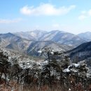솔안집 네이버블로그