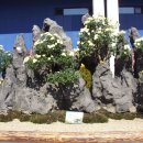 광주광역시청 B 이미지