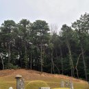 반남박씨박원도묘 이미지