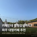 온가정 | 파주 대형카페 모임장소 추천 바리루스ㅣ캠핑감성에 파스타까지 솔직후기