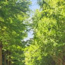 코스모스경로당 이미지