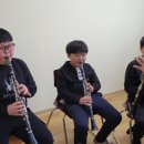 클라리네 이미지