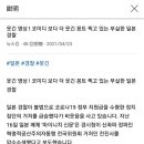 가상화폐 압류에 고액 체납자들 "즉시납부"/압수수색때 꽁트 찍고있는 허술한 일본경찰 이미지