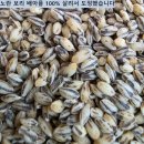 2026년 검정찰보리쌀. 검정발아보리.늘보리쌀.검정보리차 이미지