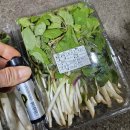 [ 세일 ] 참두릅 500g 1팩 ㅡ 12,000원 , 땅두릅 500g 1팩 ㅡ 9천원 이미지