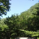 비로산장 이미지