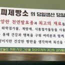 시오그린