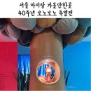 [서울] 40주년 보노보노 특별전 in Seoul 충무아트센터 아이랑 관람 후기 굿즈샵 포토카드