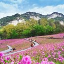 원광초교 이미지