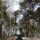 담양 금성산성 오토캠핑장