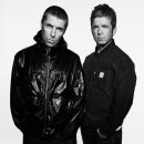 오아시스 이미지