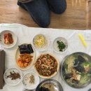 통영 거제 맛집 낙지볶음 제대로 하는 통영 거제 맛집