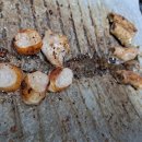 대창할인마트 이미지