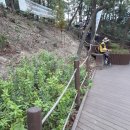 (주)브레이드 이미지