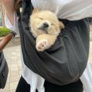 월아마을회관 | Apr , 22