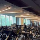 브라운 휘트니스 이미지