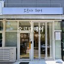오르다헤어 | 원주 무실동 미용실 오르다헤어 극손상 모발 클리닉 후기