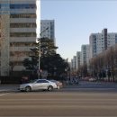 강남-207 네이버블로그