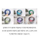 아이비 태권도장 이미지