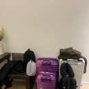 소호주유소 | [2026] 1월 세비야- 그라나다 (10) / 렌트카로 론다 당일치기