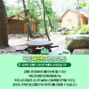 휴양림로 이미지