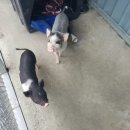 태광카공업사 이미지