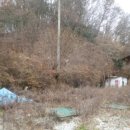 여주-0118 이미지