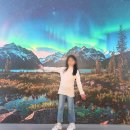 엑스아이 | 속초 가볼 만한 곳 아이와 뮤지엄 엑스 위치 할인 후기