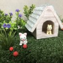 강아지정원 이미지