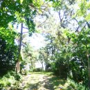 녹동구항 음식특화거리 이미지