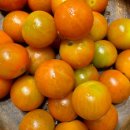 크로스핏스틸 이미지