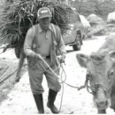 동네 행정사사무소 이미지