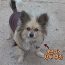 지혁목장 이미지