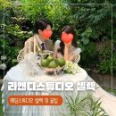 강남대로8길 40-67 | 라앤디스튜디오 셀렉 후기 (기본액자, 4장추가)