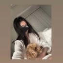 폴앤안나 롯데백화점 잠실 입점 ㅣ홈웨어 잠옷브랜드 할인