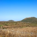 돗오름 주차장 | 제주도 용눈이오름 제주 동쪽 오름 주차장 소요시간