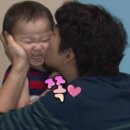 도그파파 이미지