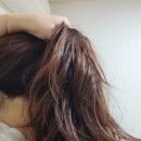 겨울필수템 프롬니치 히노끼샴푸 편백샴푸 : 트리트먼트한 듯 부드러운 수분샴푸