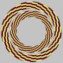 형상과 현상 이미지