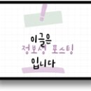 [이용후기] 속초 양지바른버거 수제버거 맛집