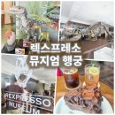 티라노 | 행궁동 공룡카페 렉스프레소 뮤지엄 수원 신상카페 아이랑 파충류 티라노미수 추천 내돈내산 후기!