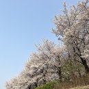 반올림피자샵 영등포점 | 2023 봄🌸 꽃놀이 나들이 일상 기록🌿