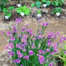 모아세탁소 이미지