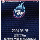 2024 IVSA 부산 event 후기_감독판(수의대이야기5)
